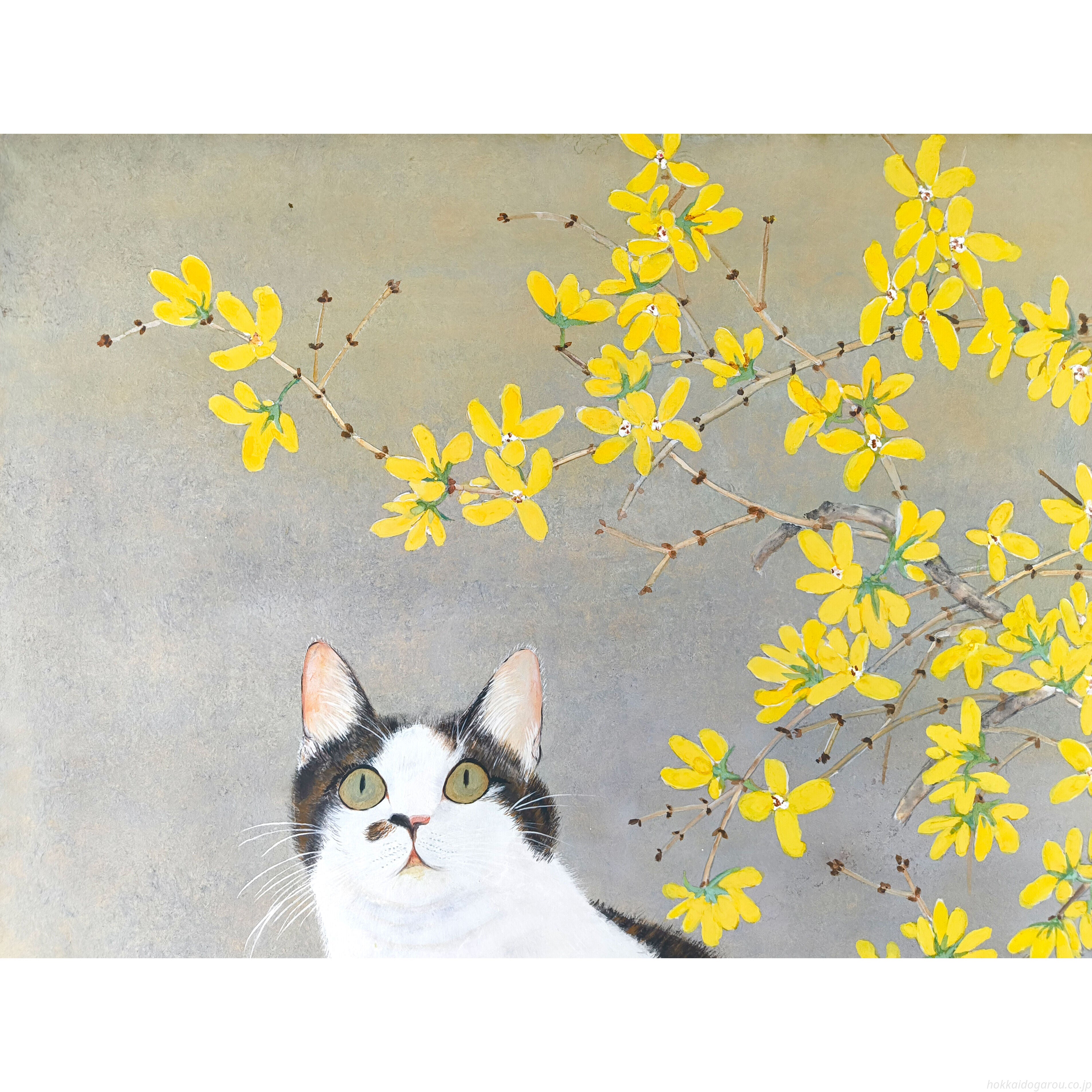 黒川采花 『猫と連翹』 日本画 - 北海道画廊