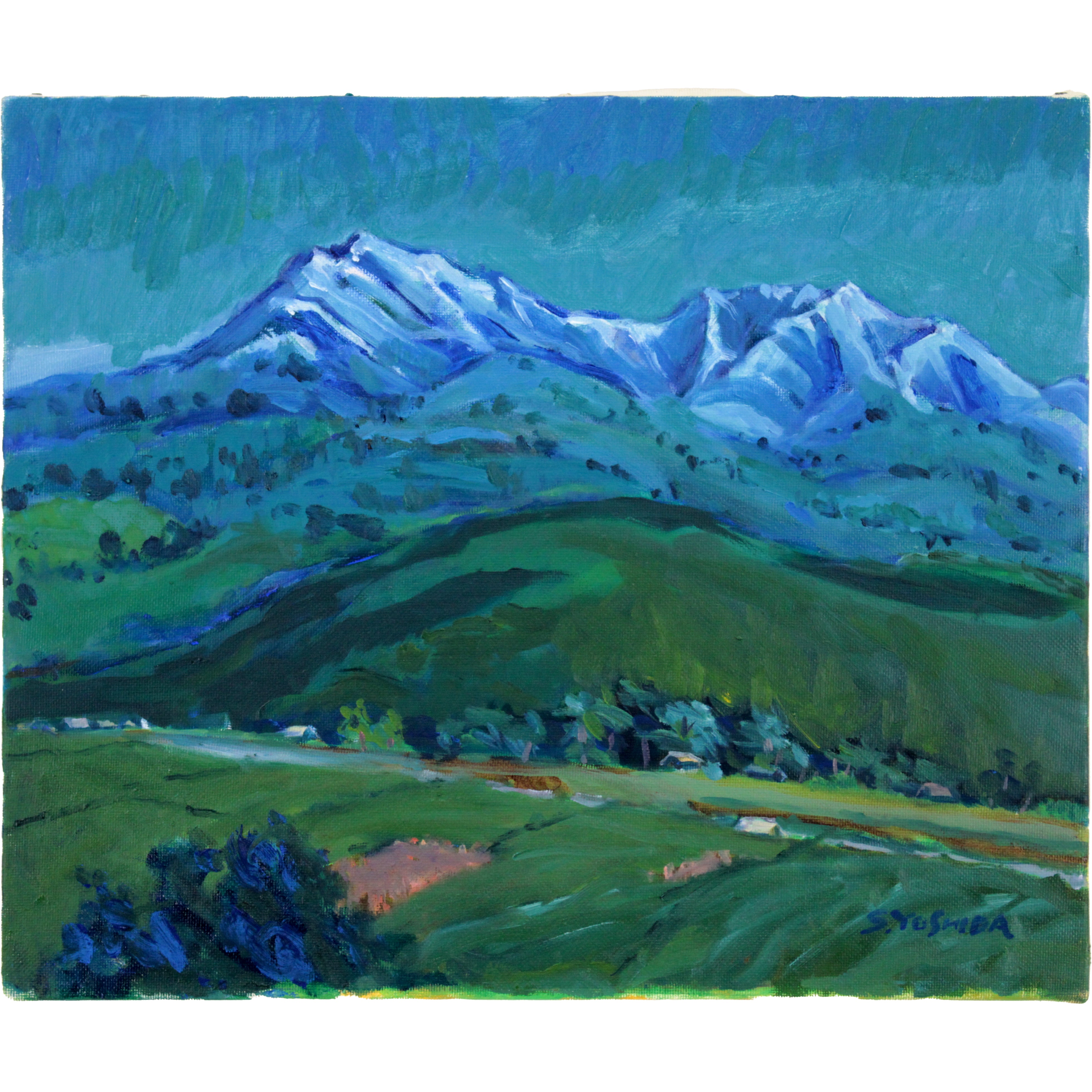 【油彩画】海辺の女性と花畑　北欧アート　12号　約50×60cm 油彩画】海辺の女性と花畑 北欧アート 12号 約50×60cm 油彩