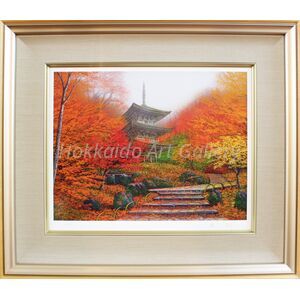 open-uri20251007-229112-mll3u9