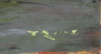 E6_9E_97_E6_9C_9D_E8_B7_AF__E7_A7_8B_E3_81_AE_E3_83_90_E3_83_AB_E3_83_93_E3_82_BE_E3_83_B3__E3_82_B5_E3_82_A4_E3_83_B3