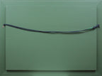 E6_9E_97_E6_9C_9D_E8_B7_AF__E7_A7_8B_E3_81_AE_E3_83_90_E3_83_AB_E3_83_93_E3_82_BE_E3_83_B3__E9_A1_8D_E8_A3_8F