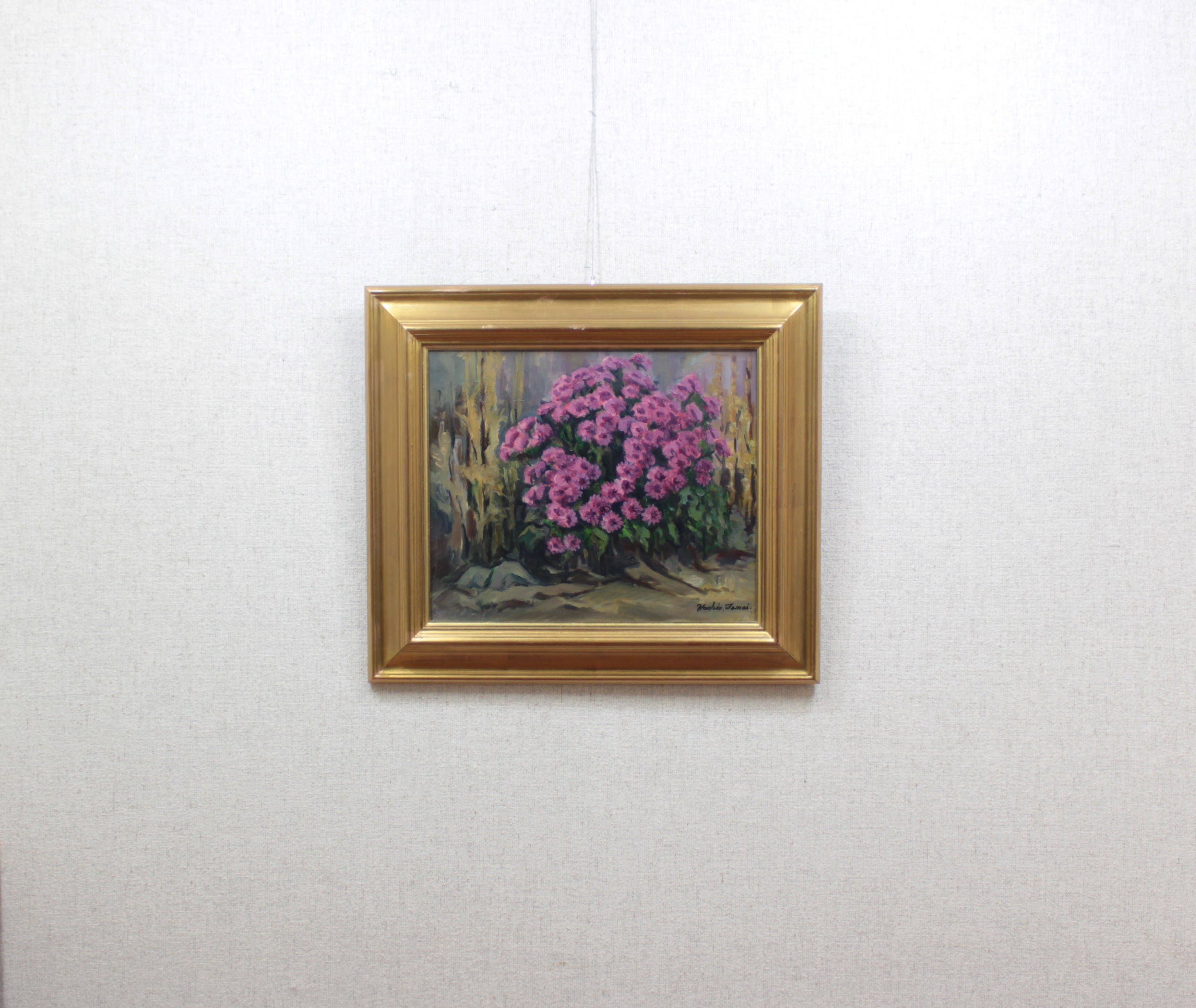 門口の秋菊