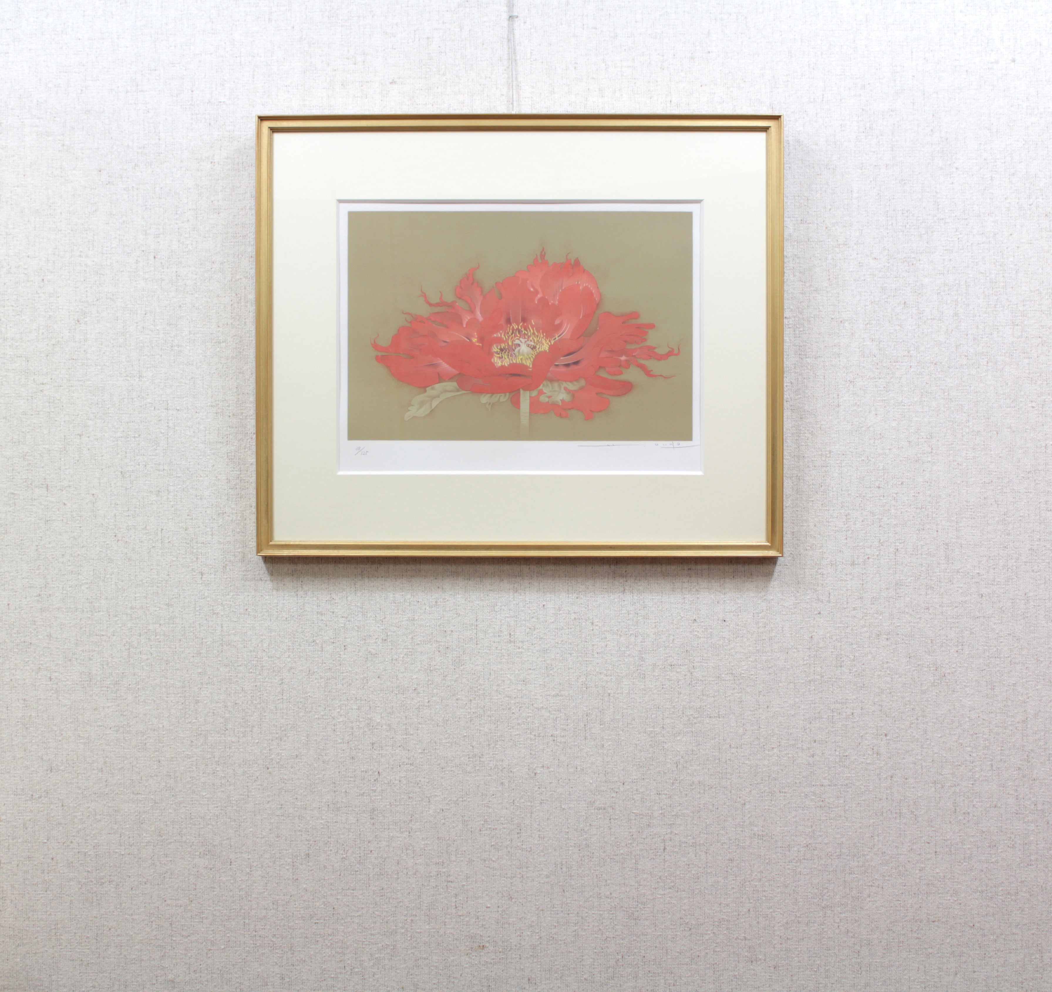 けしの花